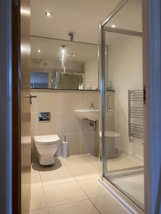Modern Apartment, Fistral Beach New Quay Екстериор снимка
